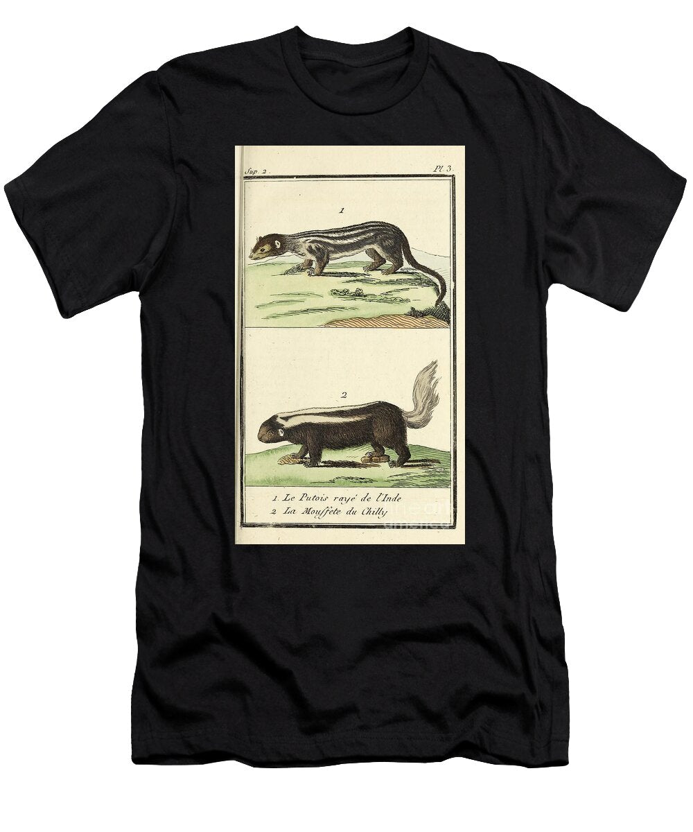 Buffons Antique Illustration Showing a Striped Polecat and Skunk Au2 Historic Illustrations T-Shirt