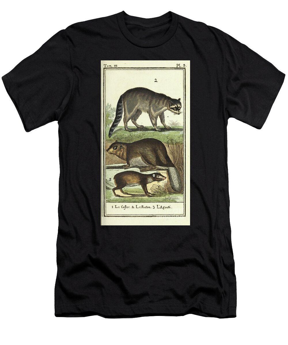 Buffons Historic Natural History Illustration Depicting Beaver Ar4 Historic Illustrations T-Shirt