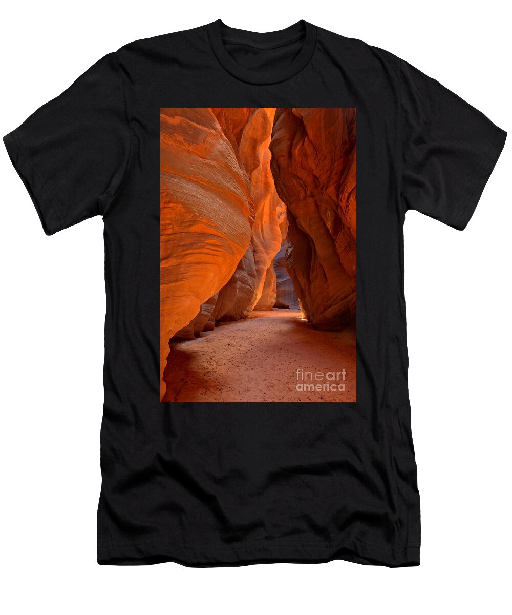 Bulging Buckskin Walls Adam Jewell T-Shirt