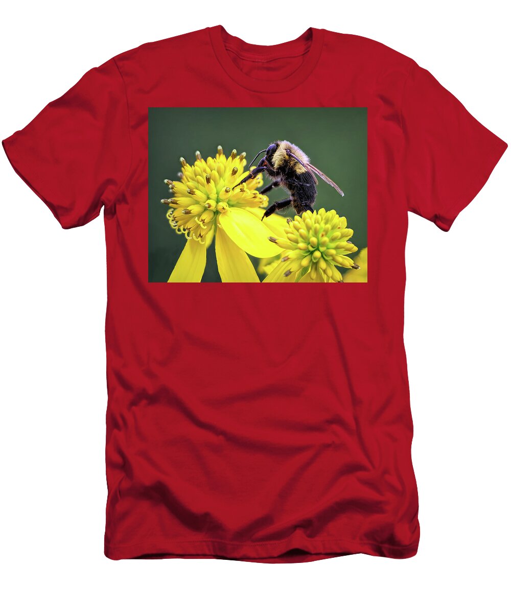 Bumblebee on Wildflower Dennis Lundell T-Shirt