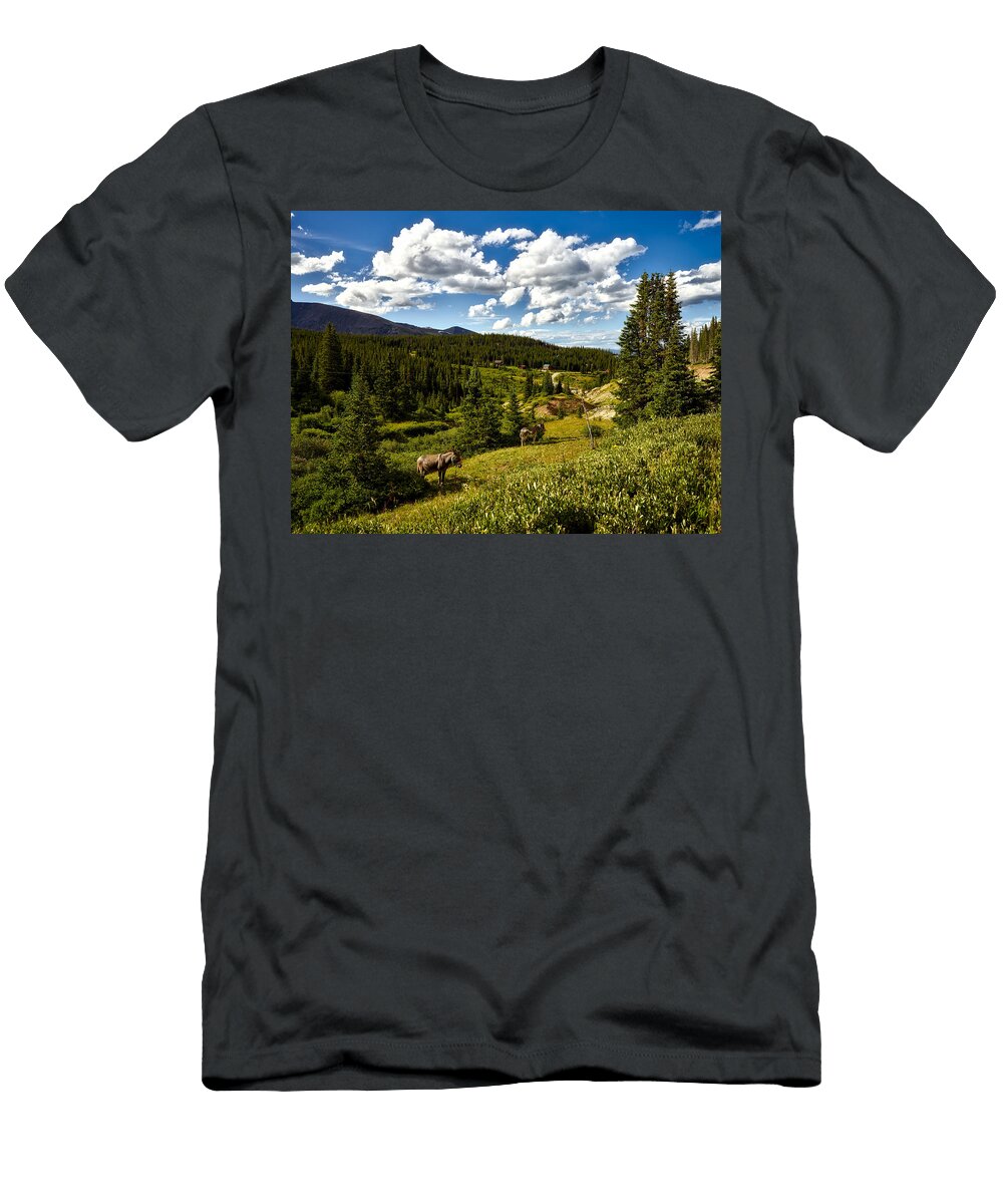Burros in a a Rocky Mountain Valley Colorado Mountain Dreams T-Shirt