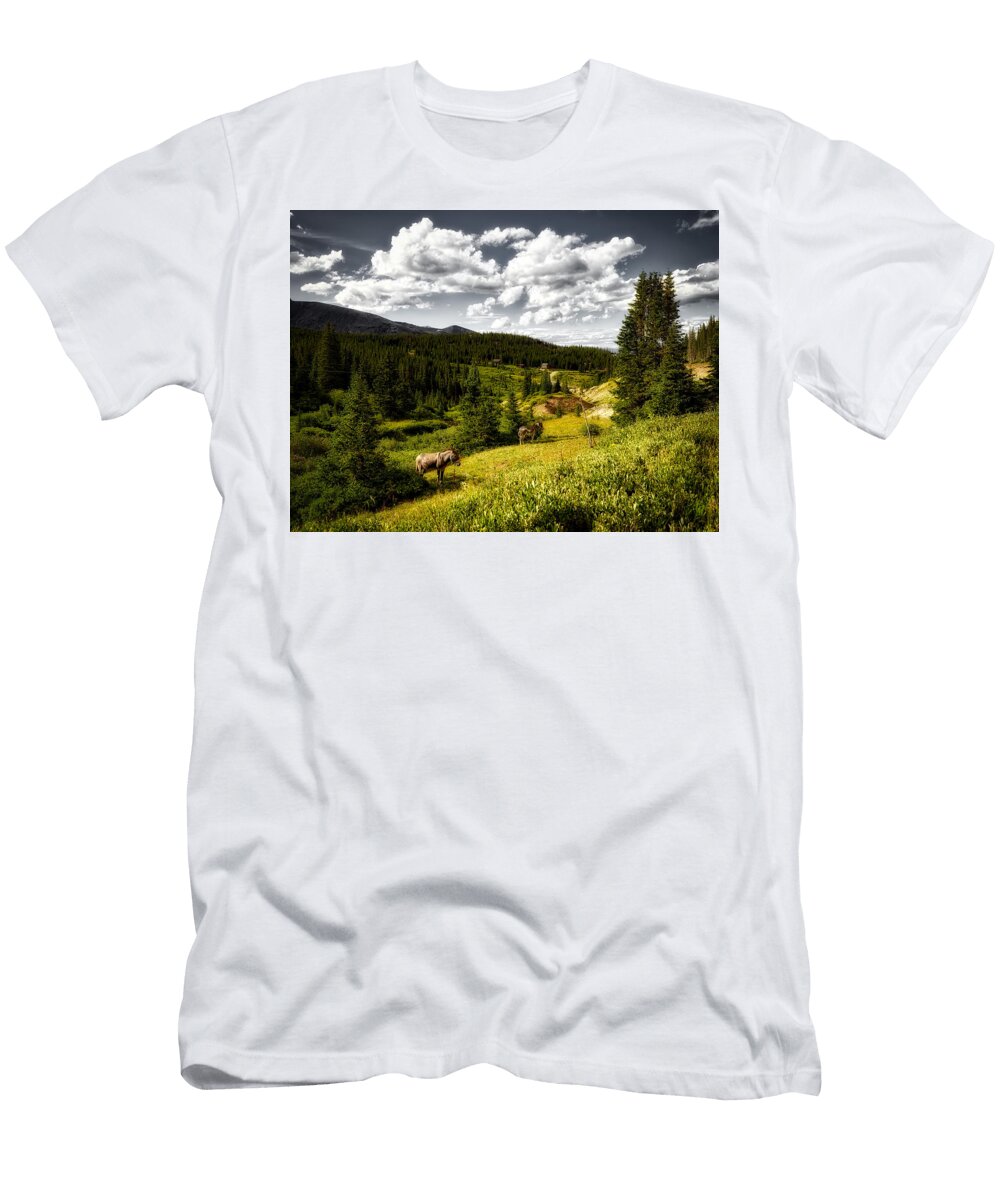 Burros in a Rocky Mountain Valley Colorado Mountain Dreams T-Shirt