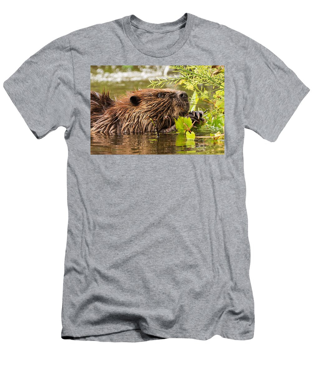 Busy As a Beaver Everet Regal T-Shirt