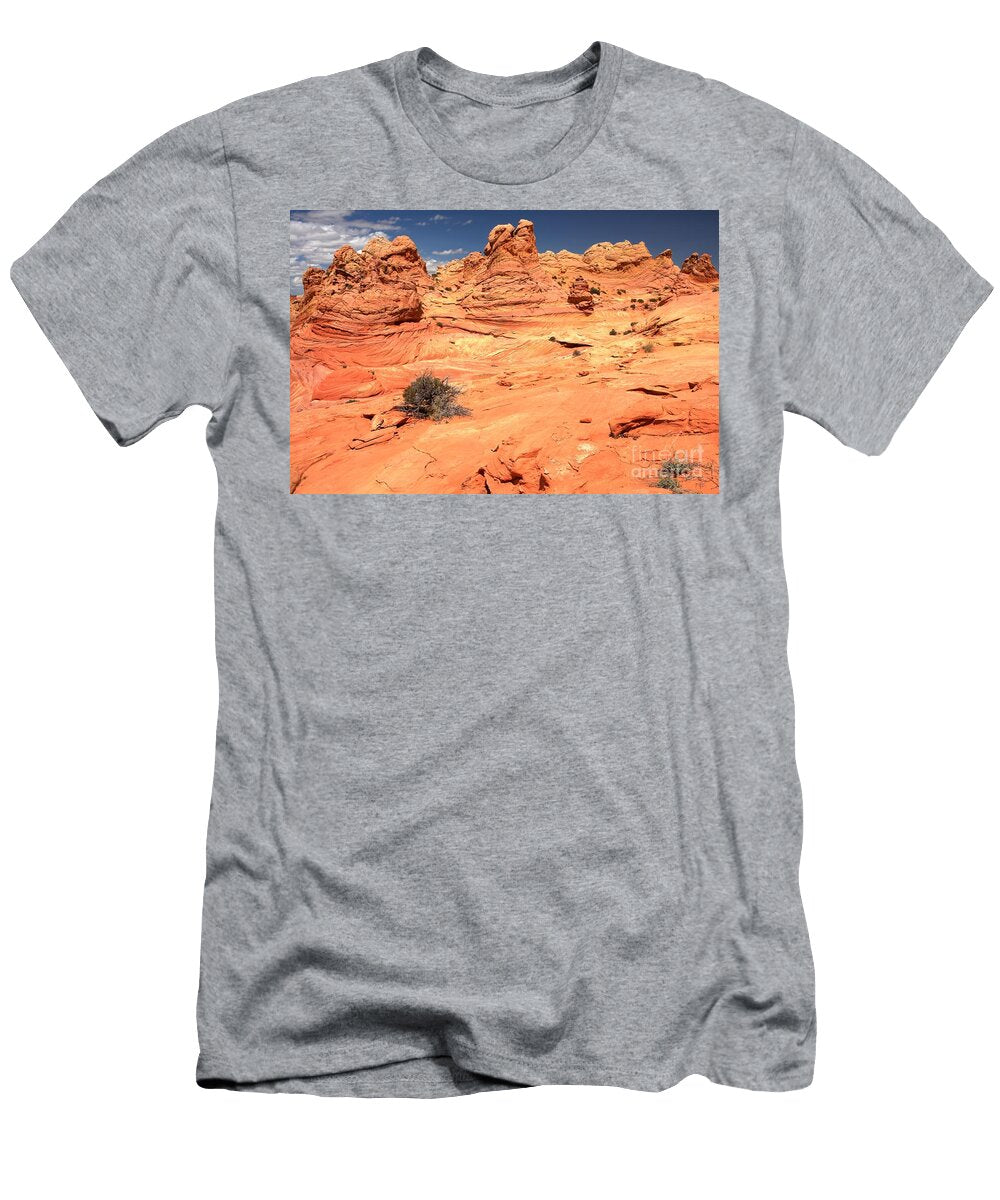 Buttes and Waves Adam Jewell T-Shirt