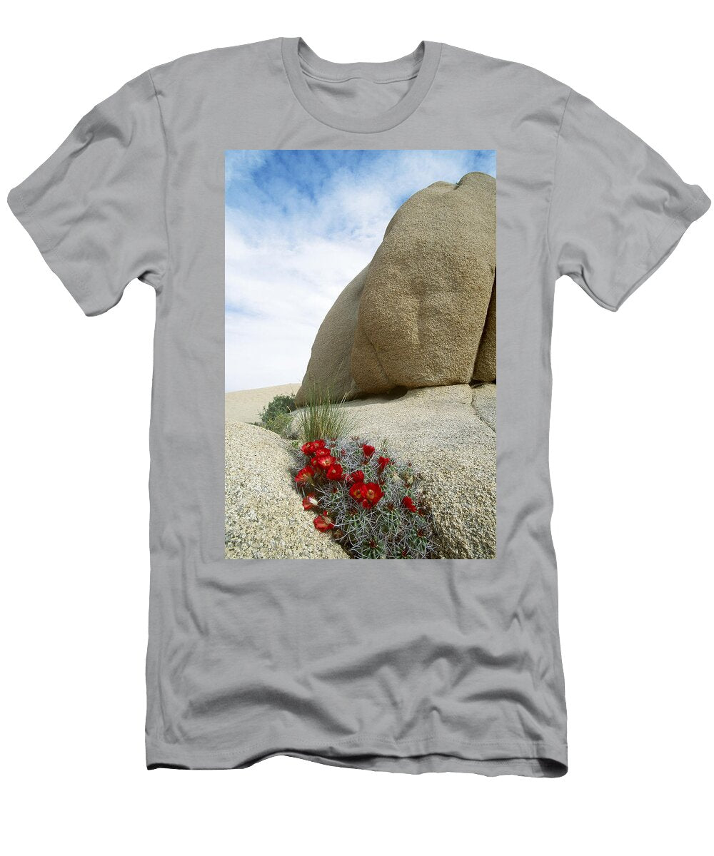 Cactus and Rock Formations Richard Hansen T-Shirt