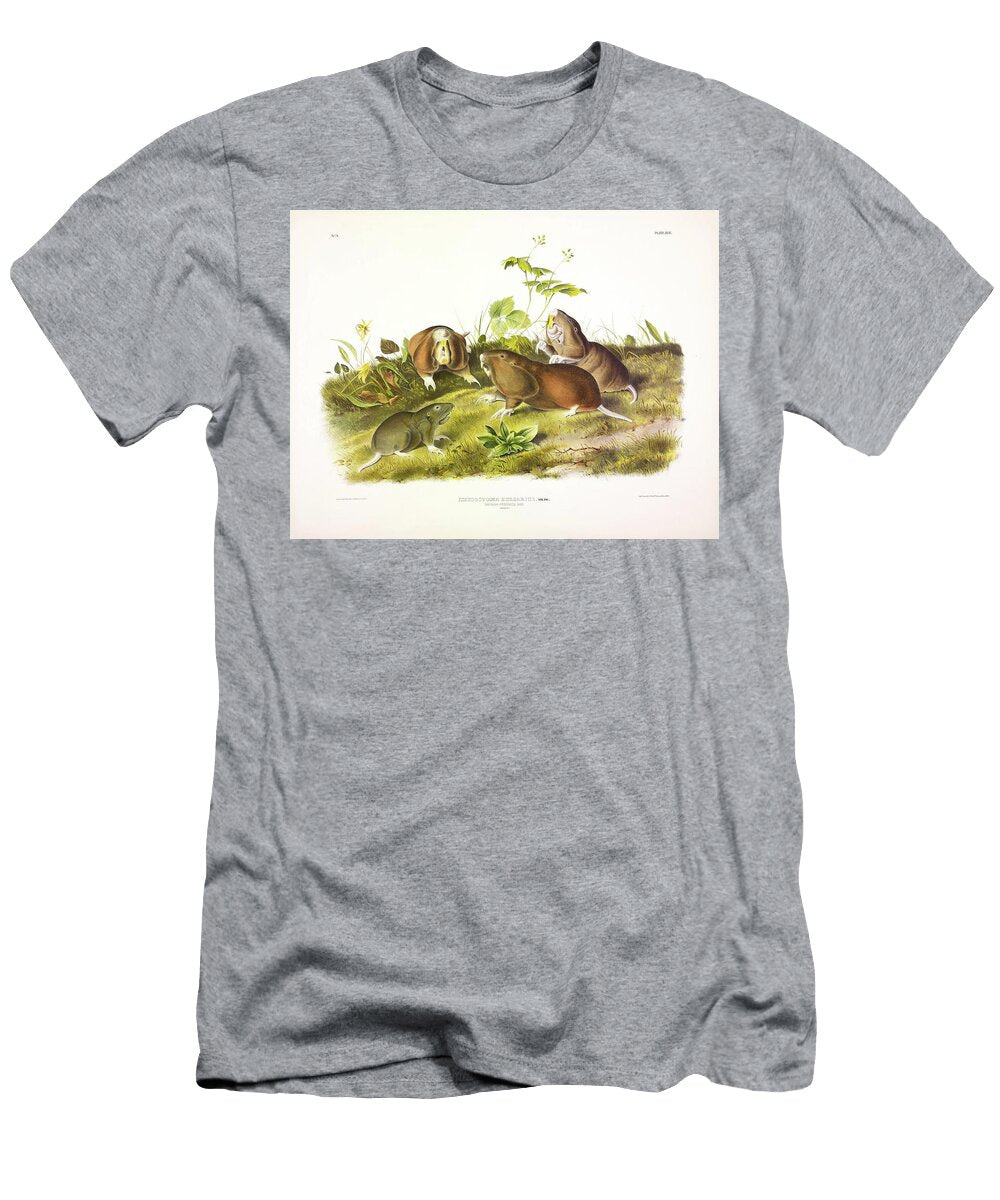 Canada Pouched Rat John James Audubon T-Shirt