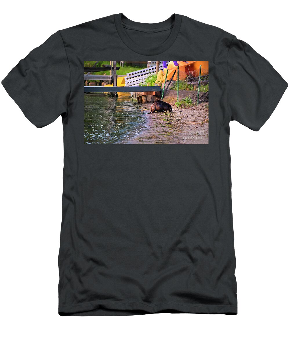 Canadian Beaver At Lake Isle Al Bourassa T-Shirt