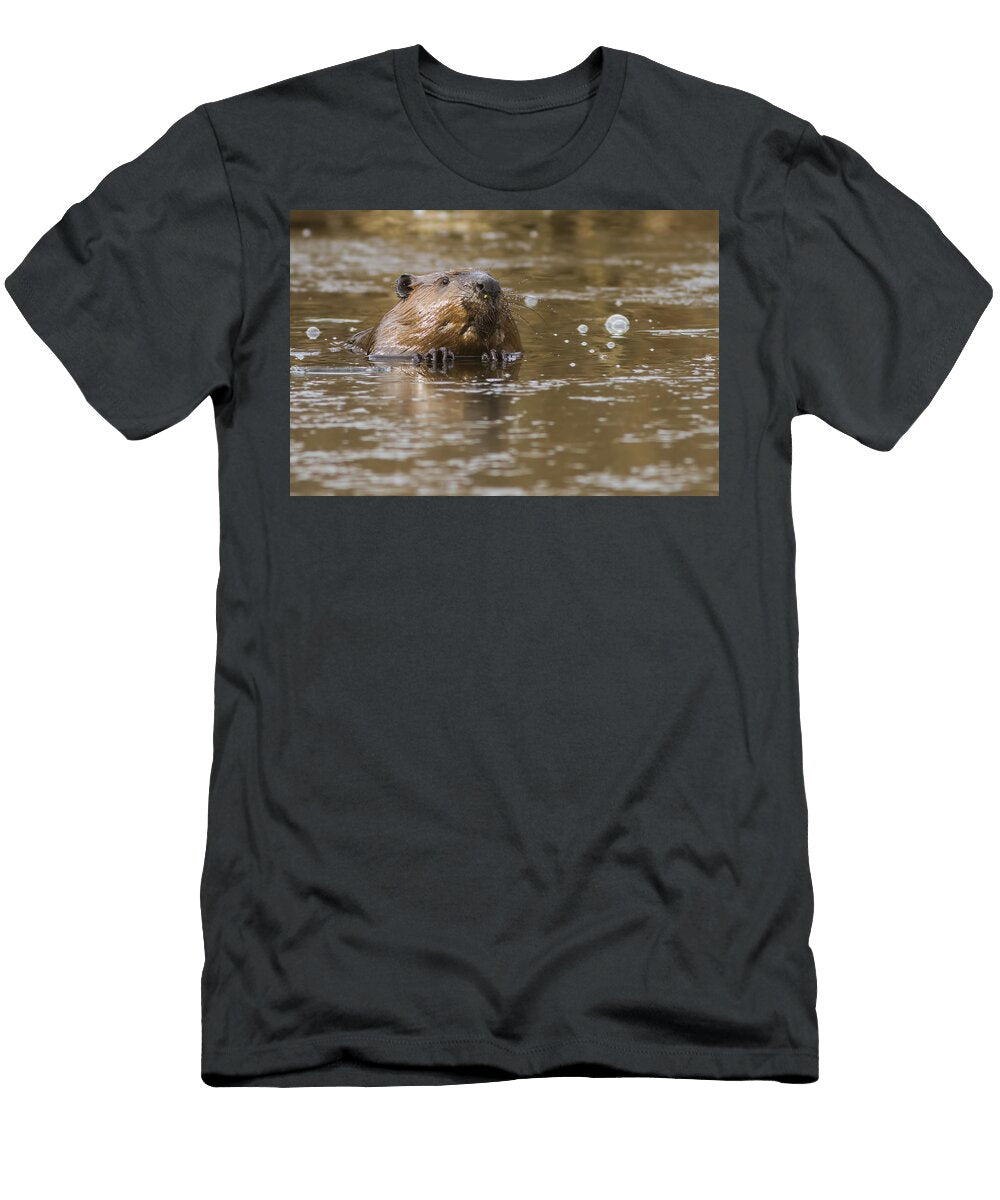 Canadian Beaver Mircea Costina Photography T-Shirt