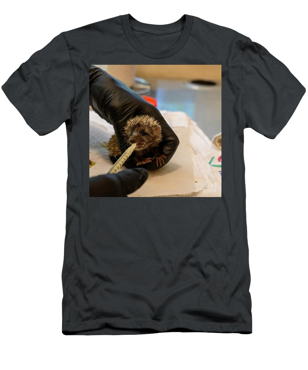 Caring for an Orphaned Juvenile Southern White Breasted Hedgehog Ag1 Ilan Rosen T-Shirt