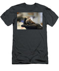 Caring for an Orphaned Juvenile Southern White Breasted Hedgehog Ag2 Ilan Rosen T-Shirt