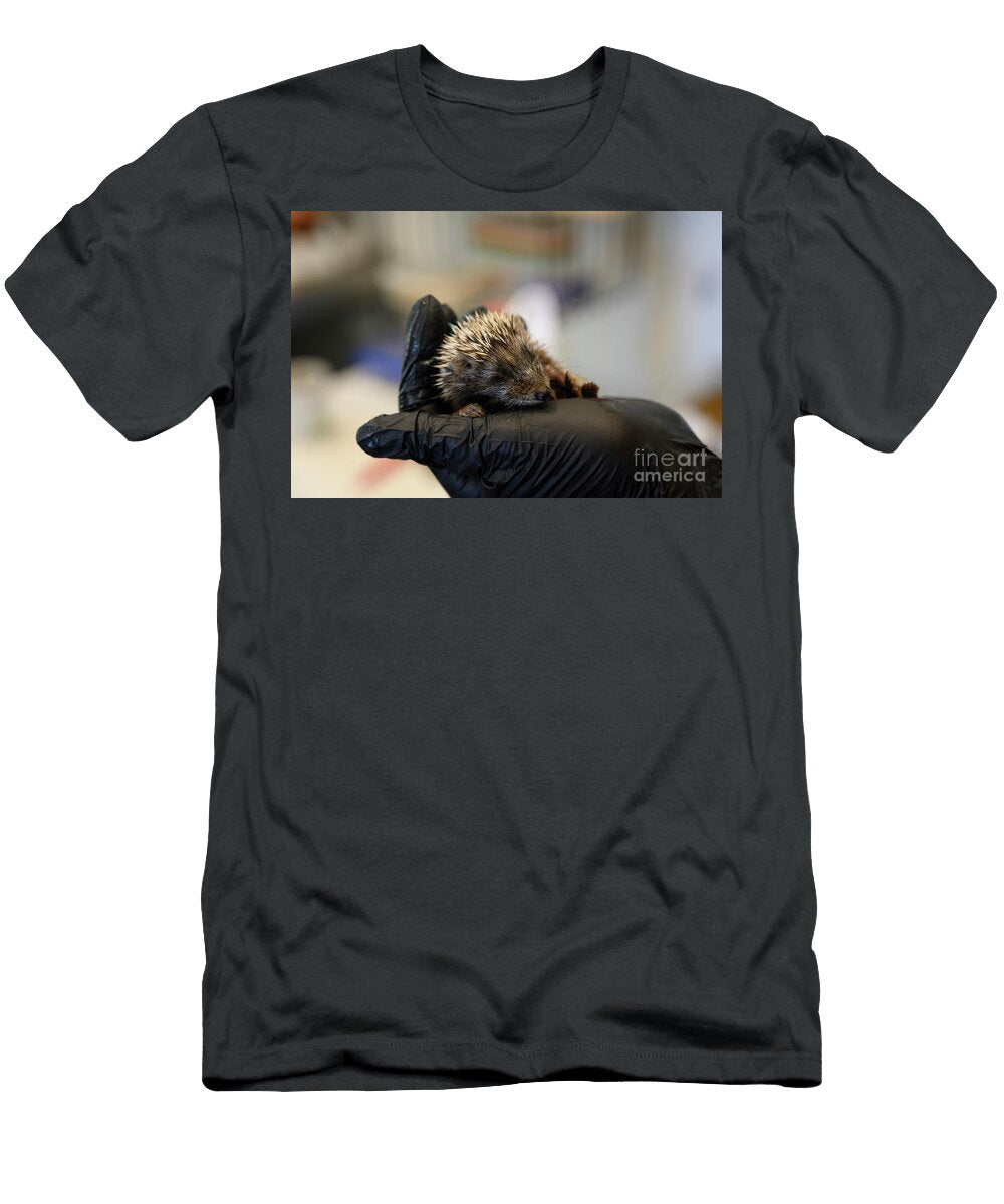 Caring for an Orphaned Juvenile Southern White Breasted Hedgehog Ag2 Ilan Rosen T-Shirt