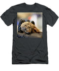 Caring for an Orphaned Juvenile Southern White Breasted Hedgehog Ag3 Ilan Rosen T-Shirt