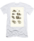 Carnivores Skulls 1824 Karl Joseph Brodtmann T-Shirt