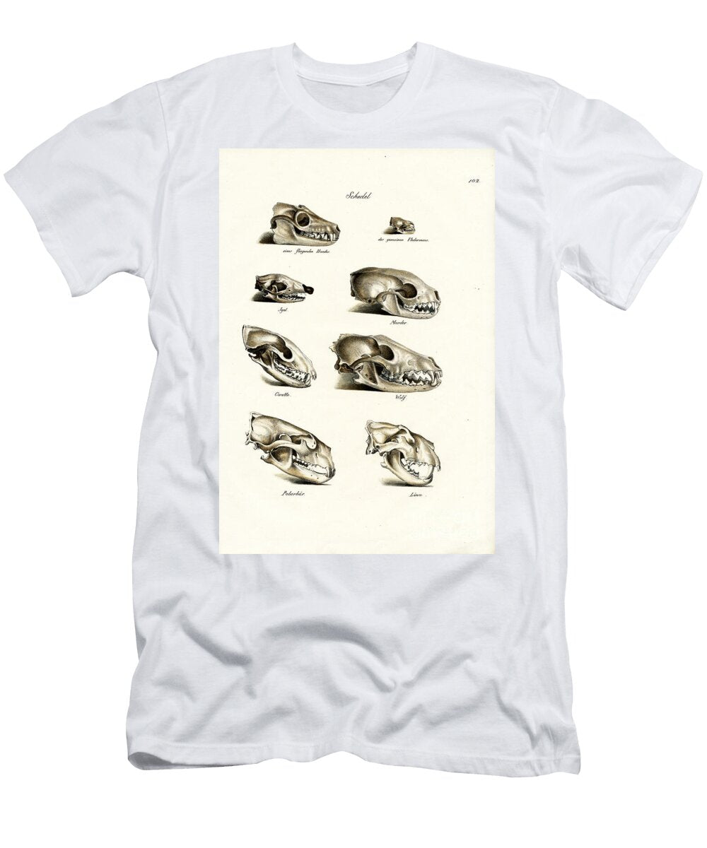 Carnivores Skulls 1824 Karl Joseph Brodtmann T-Shirt