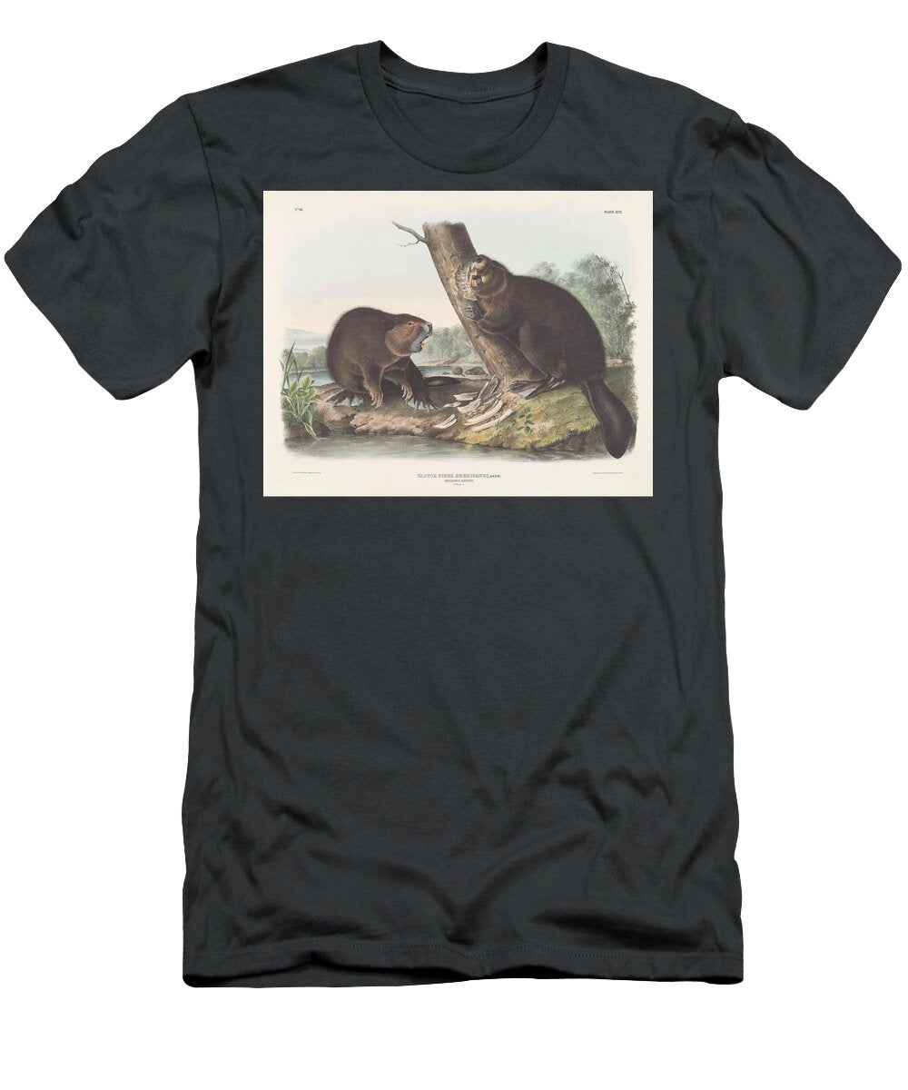 Castor Fiber Americanus Linn American Beaver Natural Size John James Audubon T-Shirt