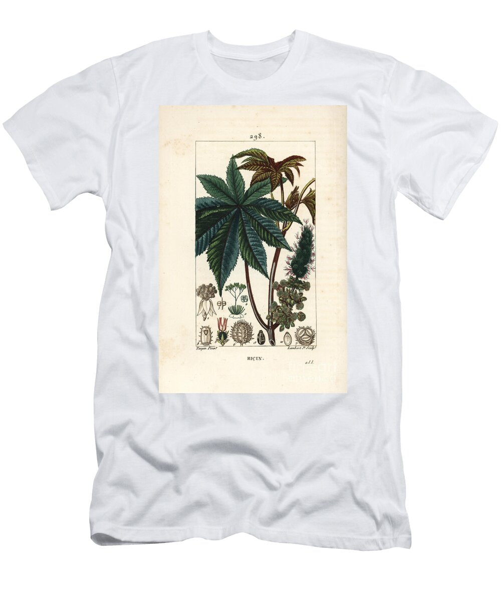 Castor Oil Plant or Castor Ricinus Communis Ricinus Vulgaris with Leaf Flower Stalk and Seed Pierre Jean Francois Turpin T-Shirt