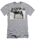 Cats Ride on Donkeys England Great Britain 1967 Photo Unknown T-Shirt