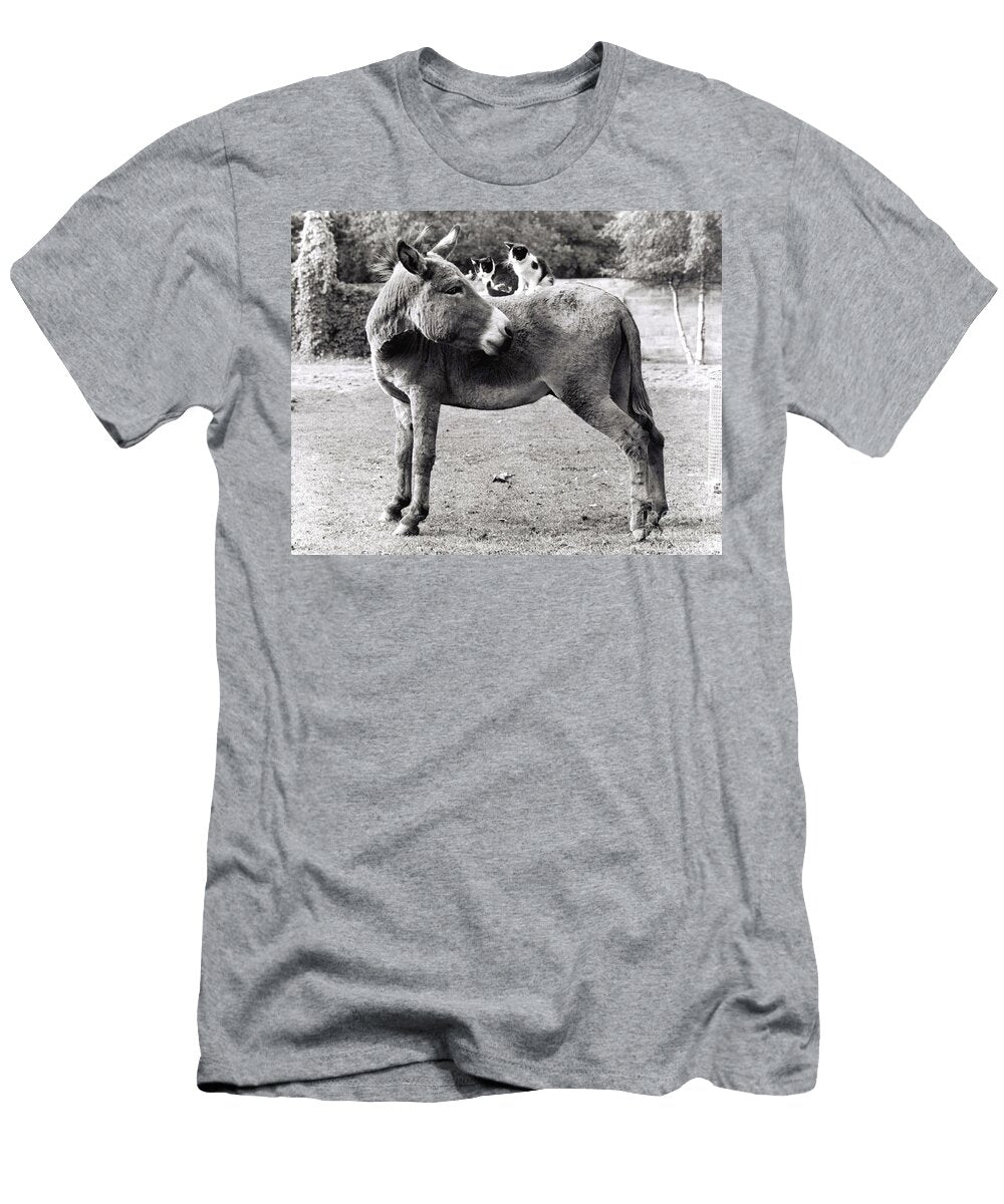 Cats Ride on Donkeys England Great Britain 1967 Photo Unknown T-Shirt