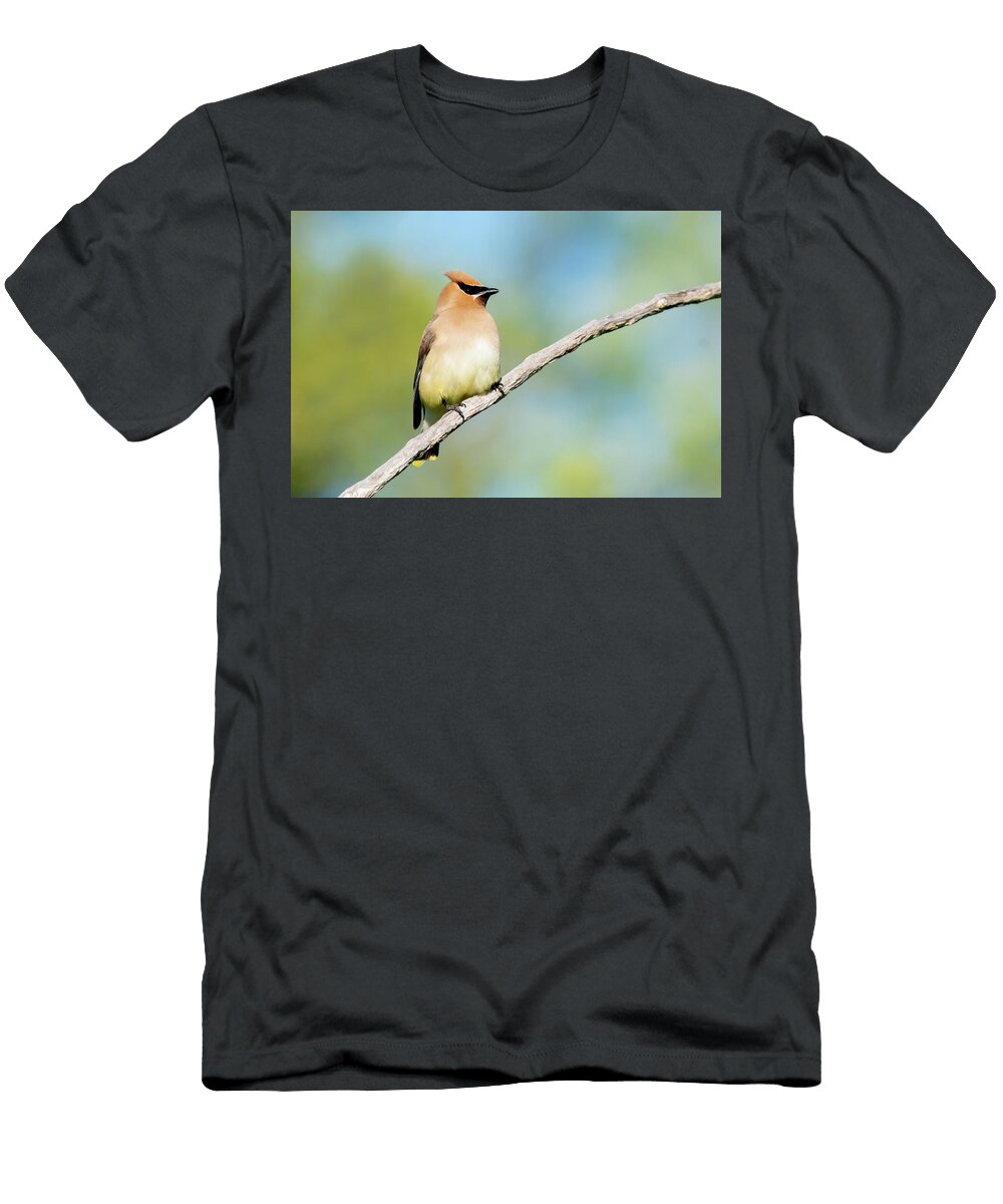 Cedar Waxwing 2026 03 Judy Tomlinson T-Shirt