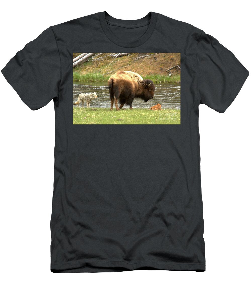 Checking the Status Adam Jewell T-Shirt