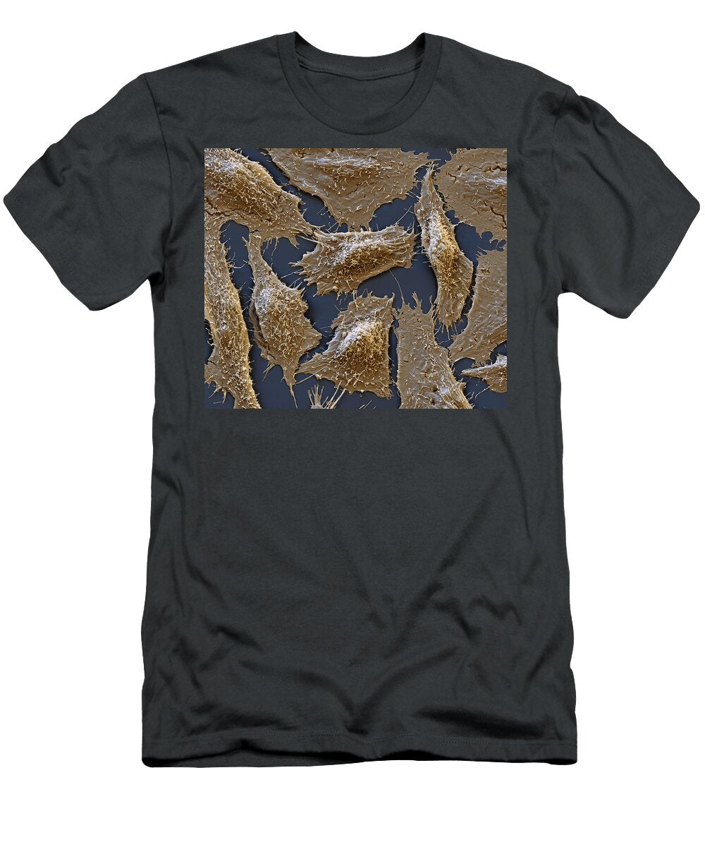 Cho Cells Sem Meckesottawa T-Shirt