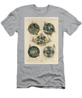 Circles Plate 42 From Fantaisies Decoratives Engraved By Gillot Published By Jules Rouam Librairie De Lart Paris 1887 Jules Auguste Habert Dys T-Shirt