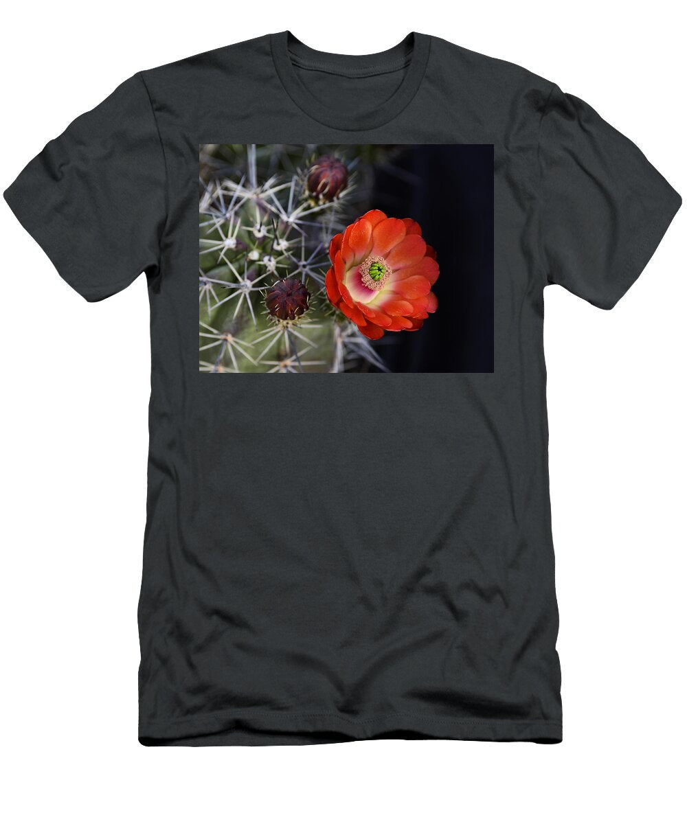 Claret Cup Hedgehog Saija Lehtonen T-Shirt