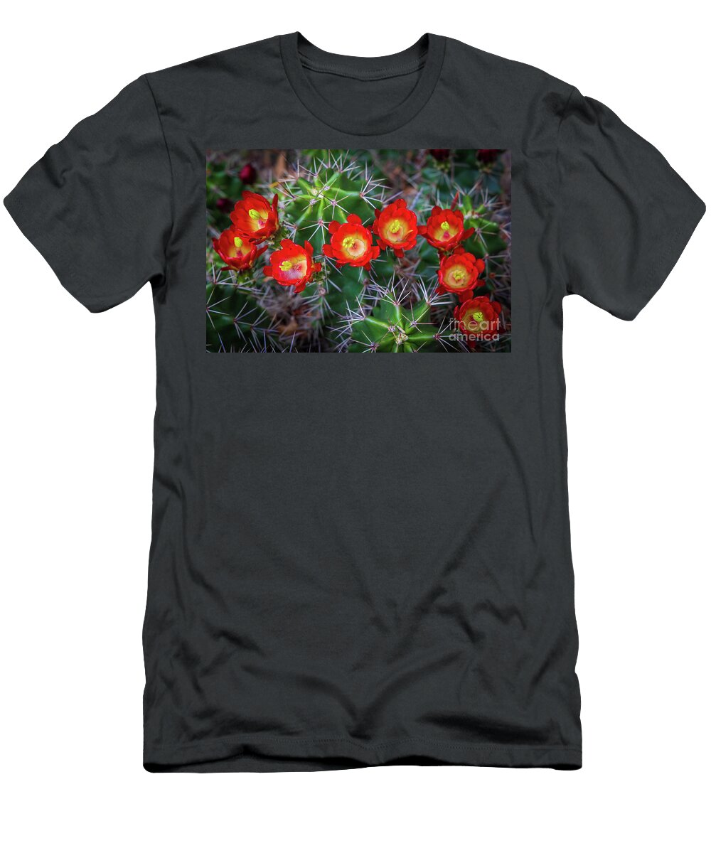 Claret Cup S Inge Johnsson T-Shirt