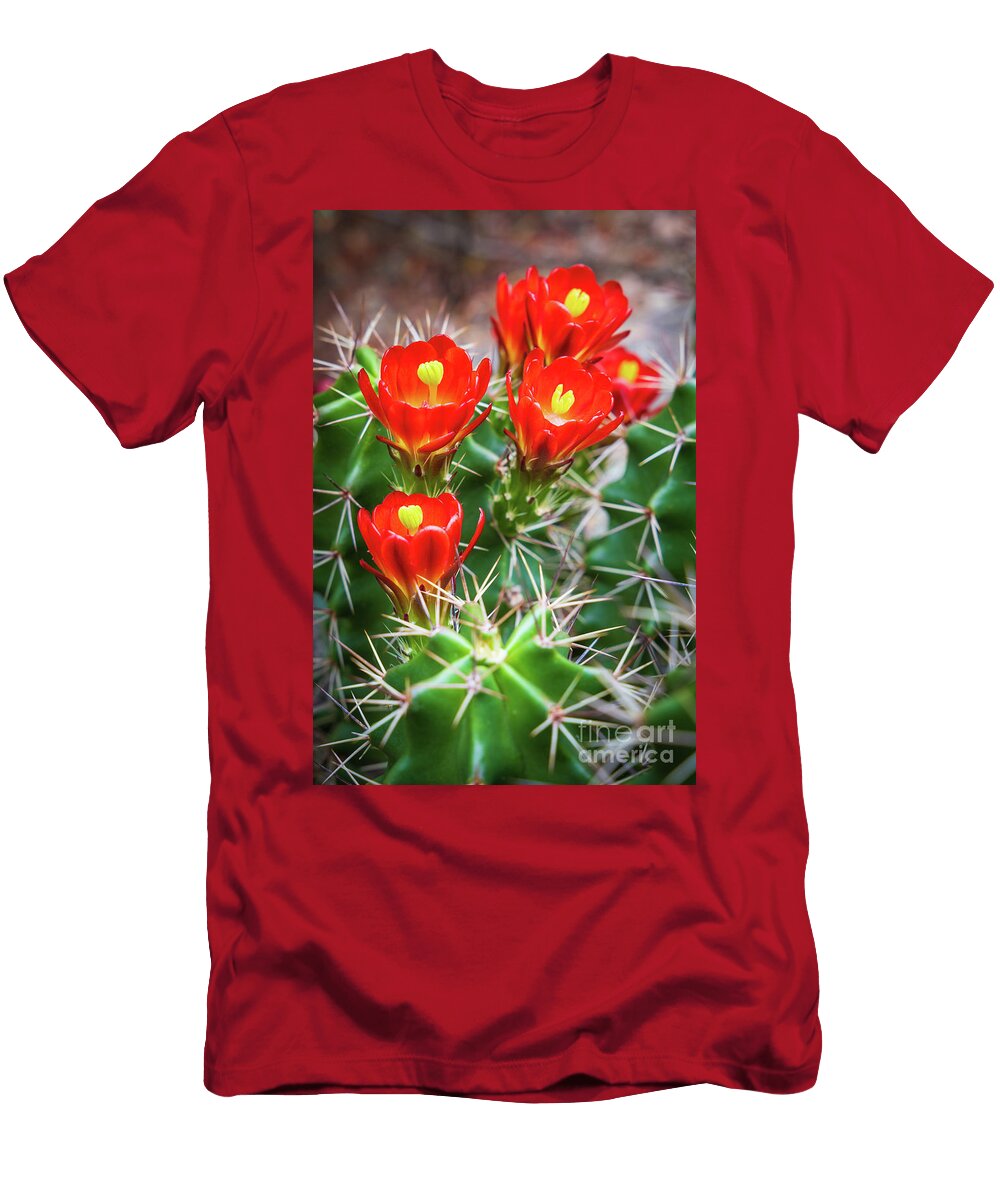 Claret Cup Up Close Inge Johnsson T-Shirt