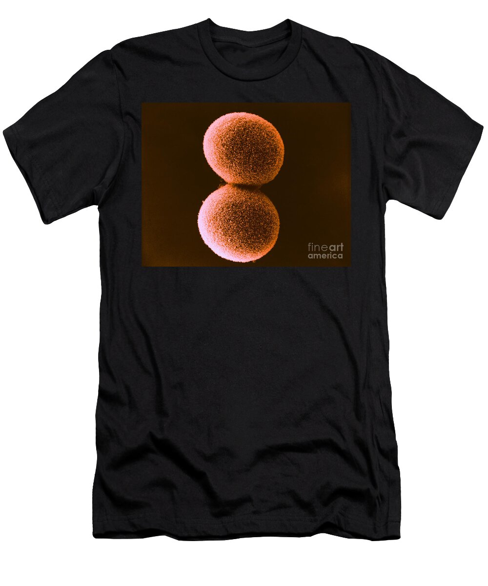 Cleavage in Embryo Sem David M Phillips T-Shirt