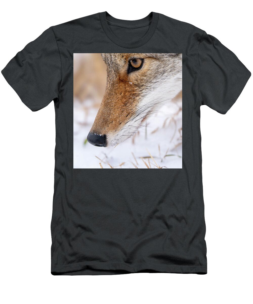 Close Up of a Coyotes Face with Snow on Its Fur and Nose Mark Duffy T-Shirt