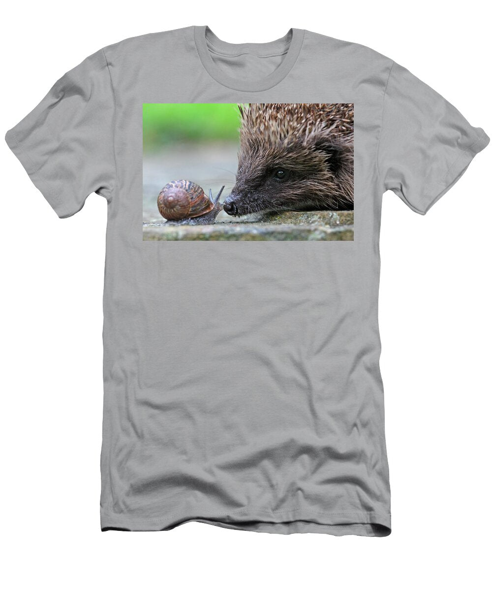 Close Up of a European Hedgehog Sniffing a Garden Snail Paul Hobson Natureplcom T-Shirt