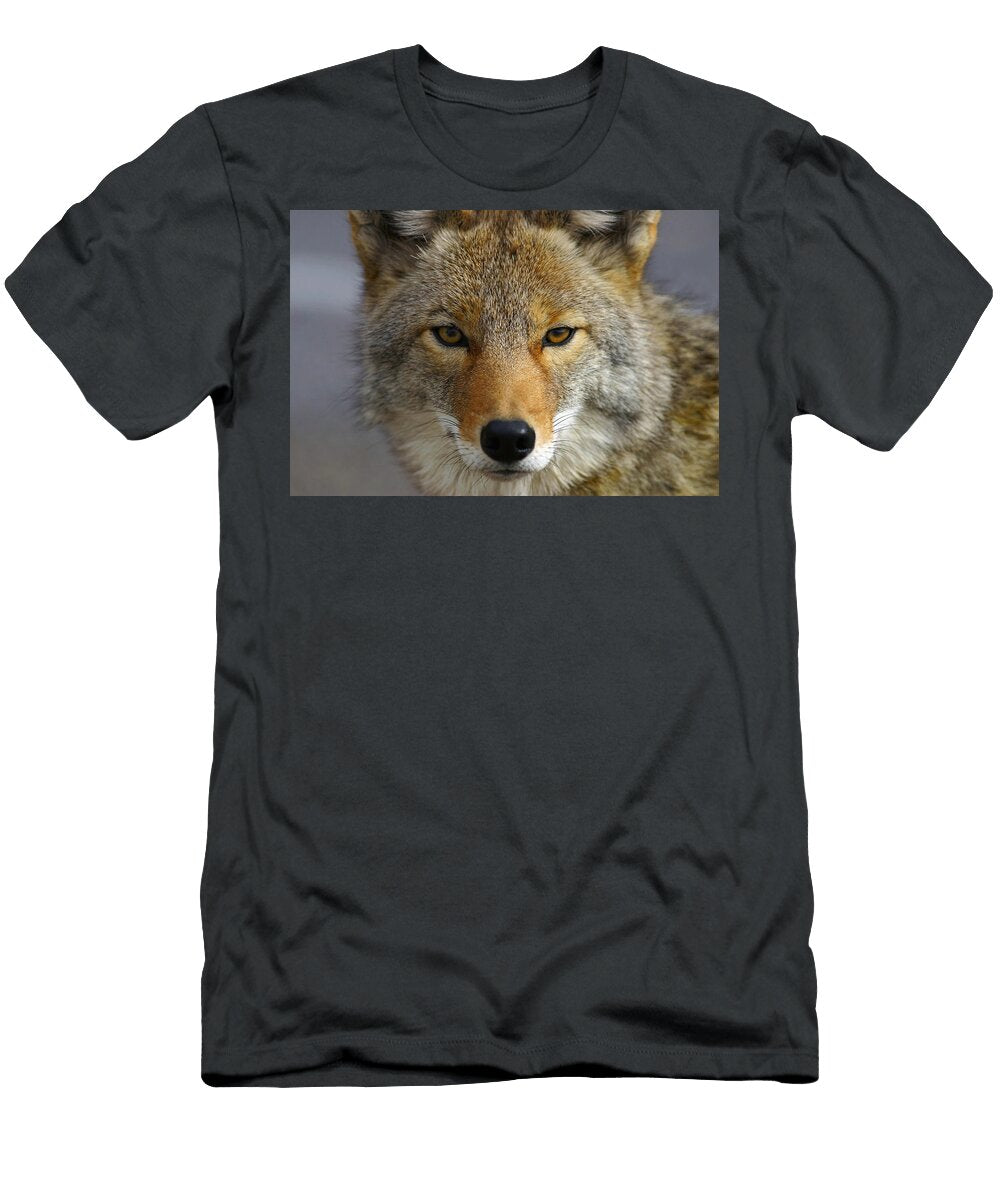 Close Up of Coyote Death Valley John Delapp T-Shirt