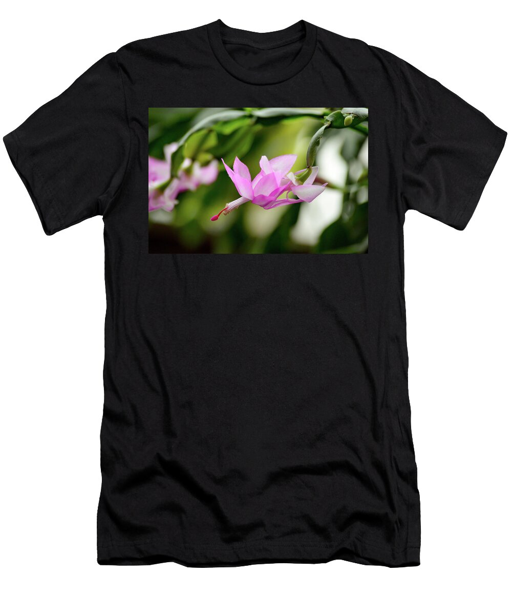 Close Up on Pink Cactus Flower Johan Ferret T-Shirt