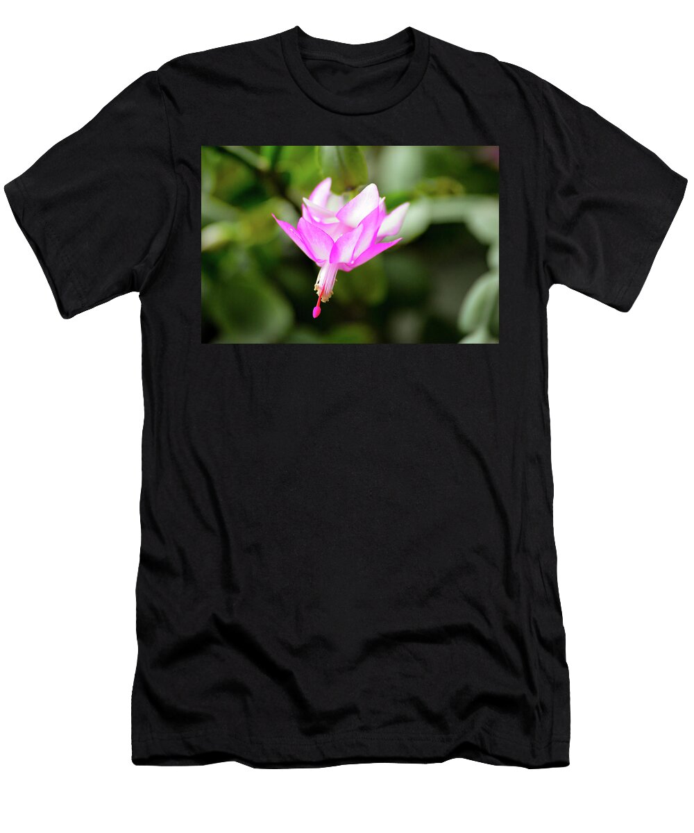 Close Up on Pretty Pink Cactus Flower Johan Ferret T-Shirt