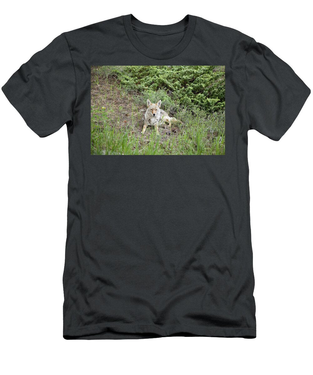 Colorado Coyote Jenna Szerlag T-Shirt
