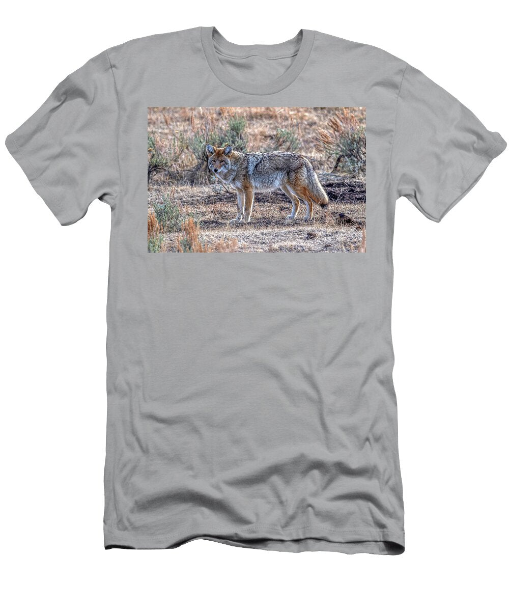 Colorful Coyote Paul Freidlund T-Shirt