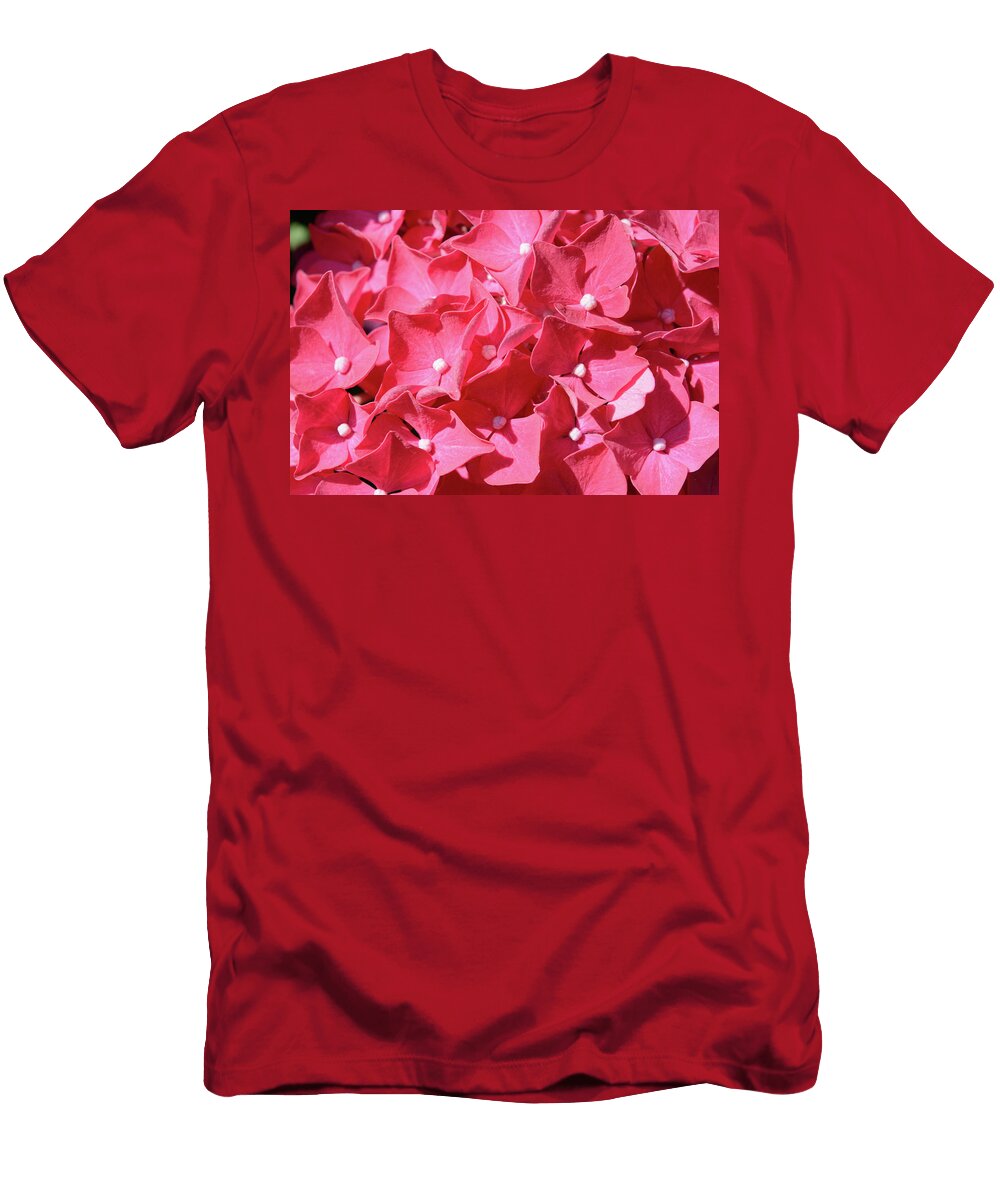 Colorful Pink Hydrangea Johan Ferret T-Shirt