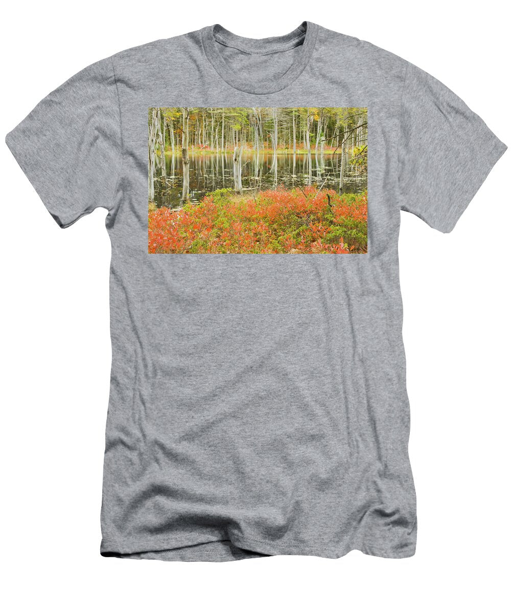 Colorful Trees Reflecting in Maine Beaver Pond Keith Webber Jr T-Shirt