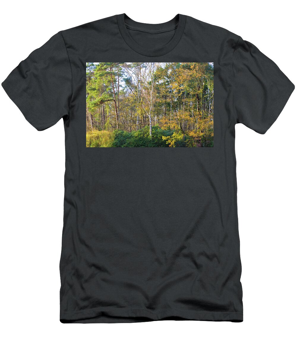 Colorful Yellow Autumn Foliage Johan Ferret T-Shirt
