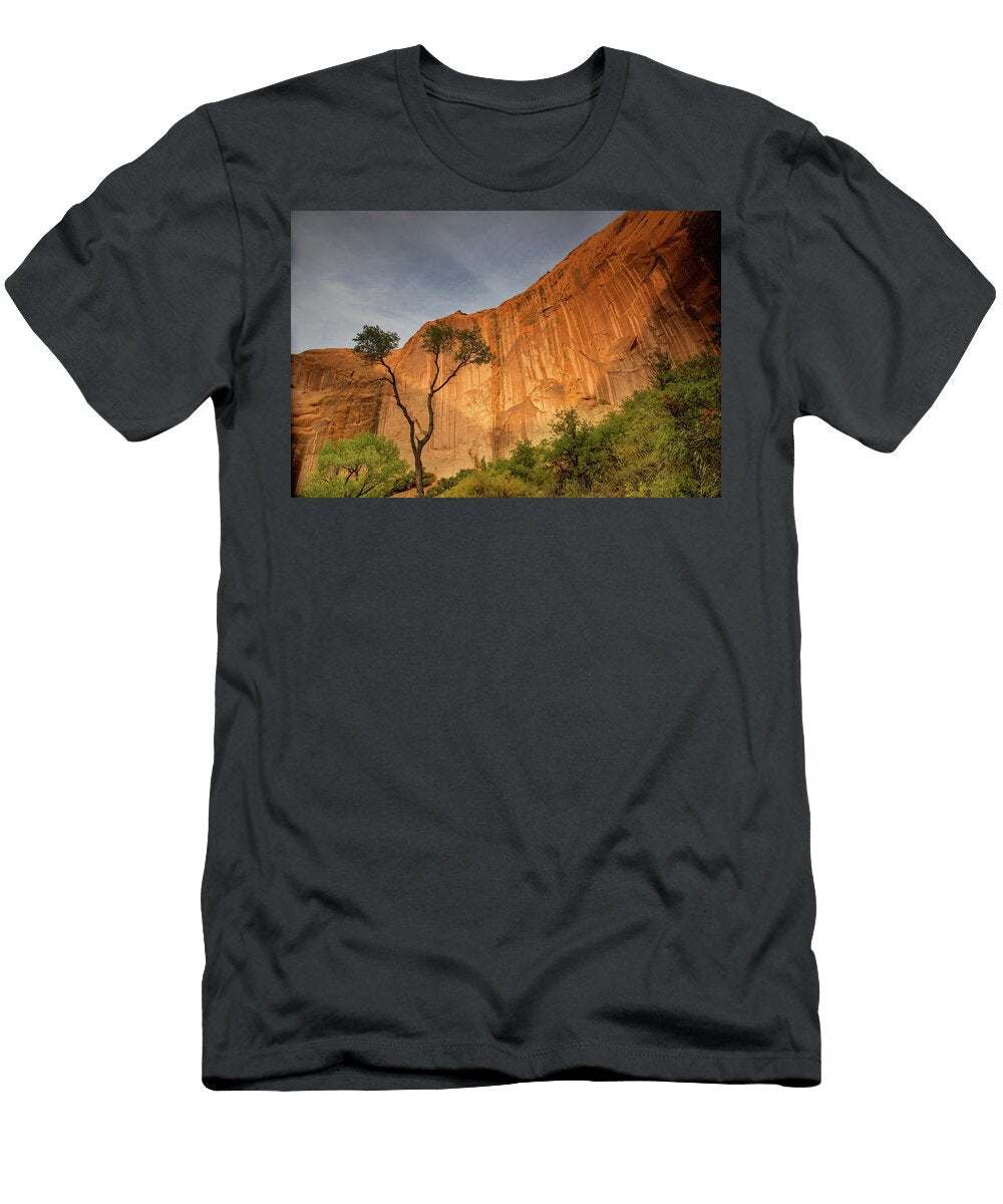 Colors of Bliss Kunal Mehra T-Shirt