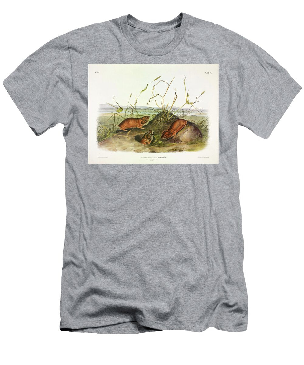 Columbia Pouched Rat John James Audubon T-Shirt