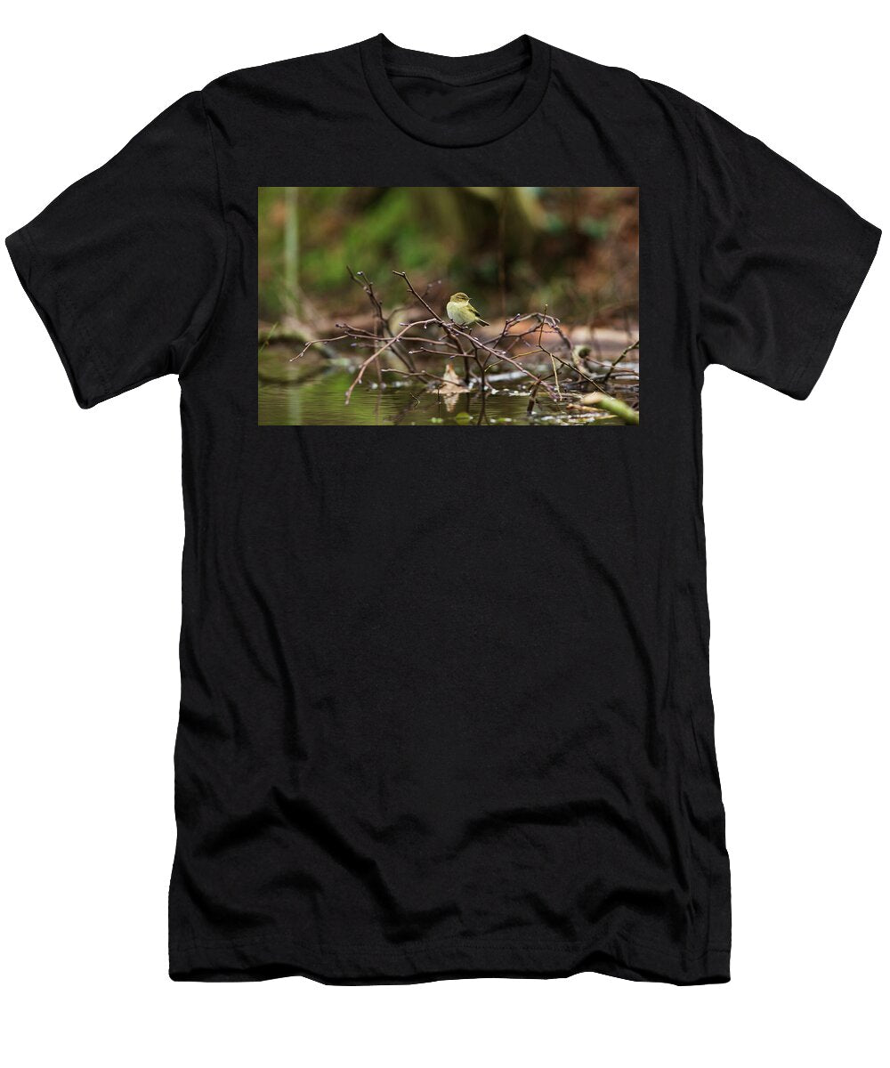 Common Chiffchaff Using a Beaver Dam to Hunt for Insects Matthew Maran Natureplcom T-Shirt