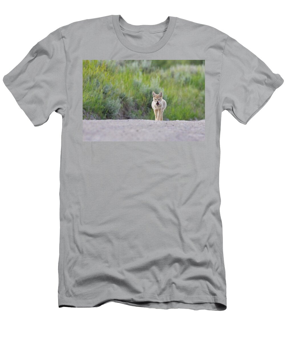 Cotote Pup Full Belly Isabella Smedley T-Shirt