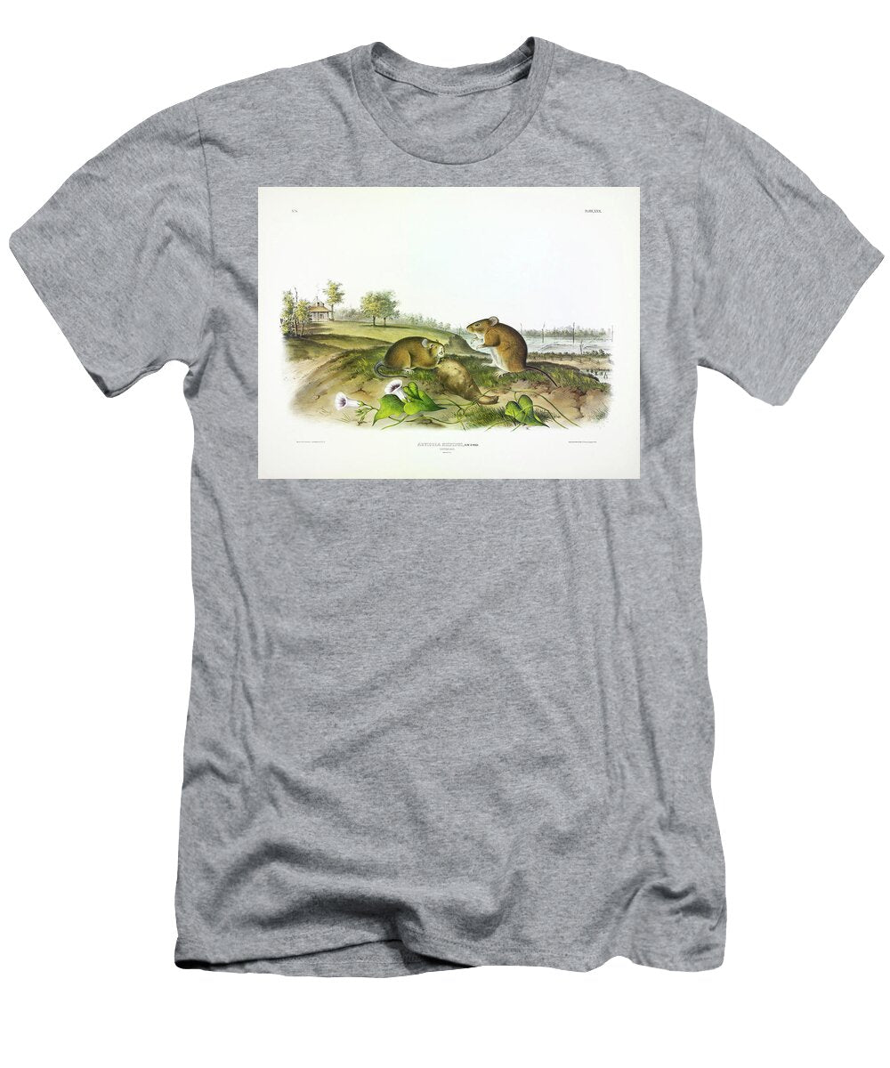 Cotton Rat John James Audubon T-Shirt
