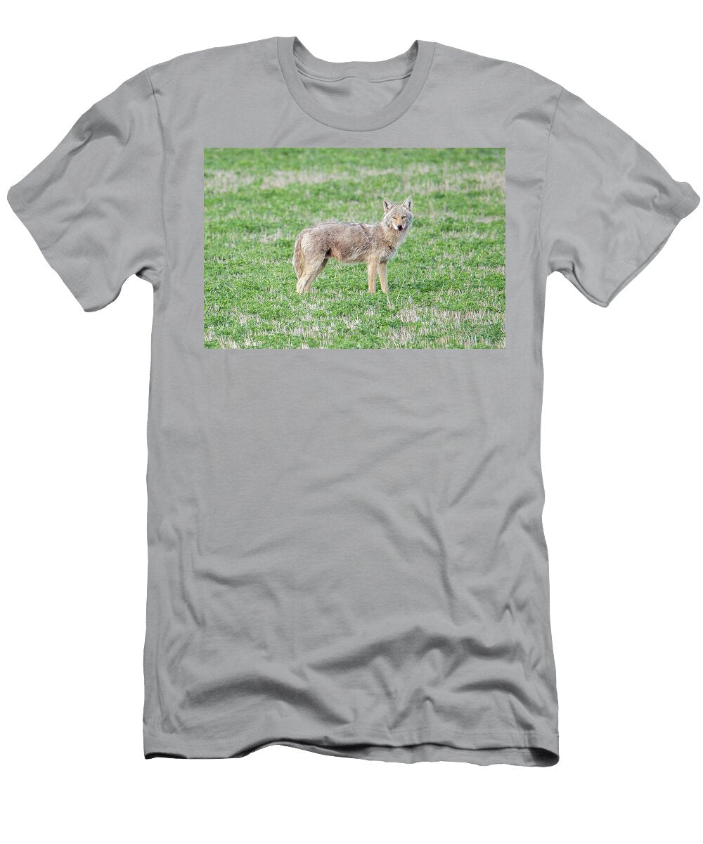 Coyote 1 Chad Rowe T-Shirt