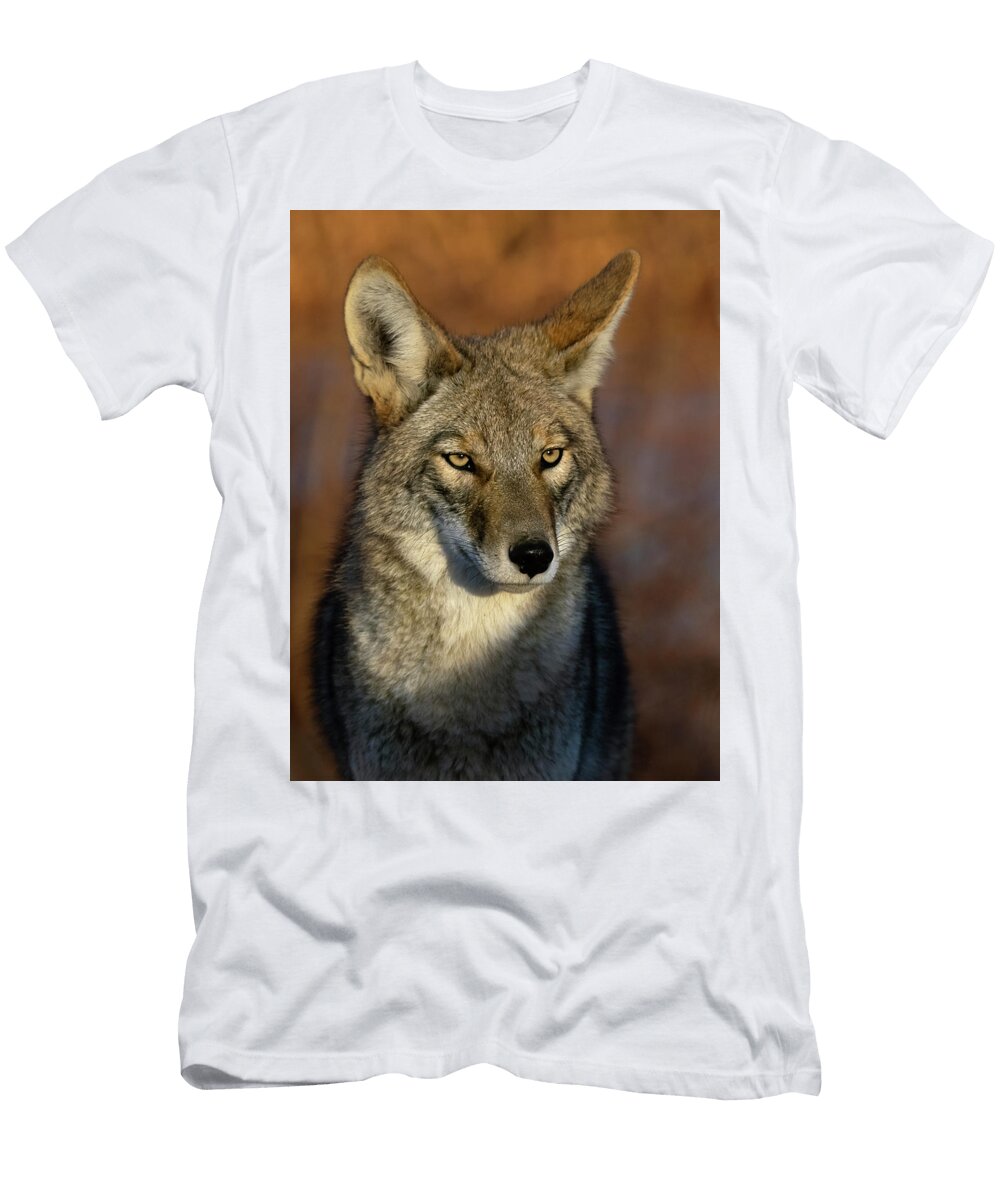 Coyote 1 Rick Mosher T-Shirt