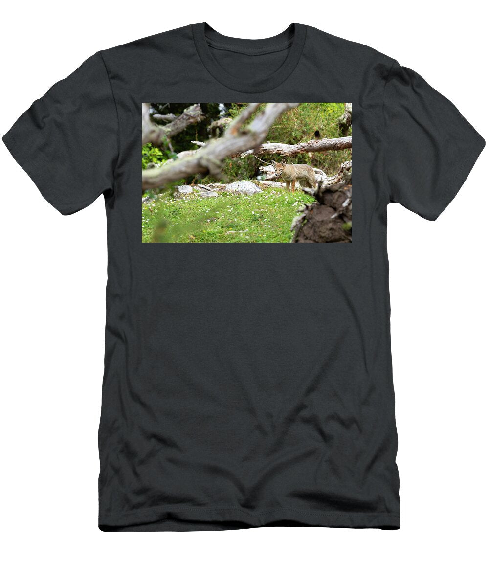 Coyote Among Fallen Branches Pedro Moraes T-Shirt