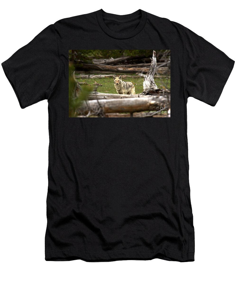 Coyote Among the Logs Adam Jewell T-Shirt