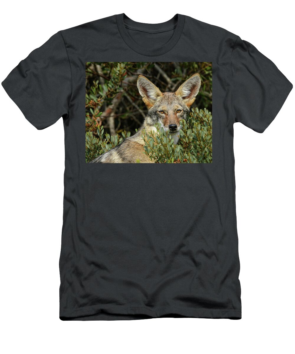 Coyote Among the Shrubs Impressionism Minimalism and Abstract T-Shirt